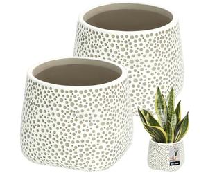 KOTARBAU® Macetero de flores sin esmaltar, acabado mate, color gris, abombado, 11 cm, altura de 11 cm, 2 unidades para plantas de interior, maceta de cerámica, grande, moderna