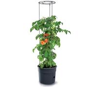 KOTARBAU® Torre de tomate de 110 cm, para tomates, pepinos, verduras, enrejado personalizable, torres de plantas de 30 cm, maceta de plástico negro