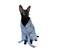 Kotomoda Albornoz de gato con estrellas grises para Sphynx y gatos desnudos (S, gris)