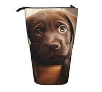 KOUUIP Lindo Labrador Dog 1 bolsa telescópica para lápices, soporte para bolígrafos, estuche de papelería, bolsa retráctil de pie, organizador de pie