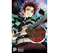 Koyoharu Gotouge Burkhard Höfle Demon Slayer - Kimetsu no yaiba 1 (Tapa blanda)