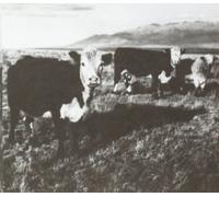 Kozelek, Mark - The Finally LP