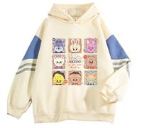 Kpop Stray Kids Hoodie Felix Bangchan Hyunjin Sweater Stray Kids Hoody Merchandise, Albaricoque3, Large
