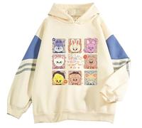 KPOP Stray Kids Hoodie Felix Bangchan Hyunjin Sweater Stray Kids Hoody Merchandise, Albaricoque3, Large
