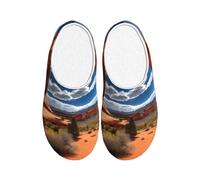 KPXXAQT Arches National Park - Pantuflas unisex para adultos con estampado estándar, antibolitas, lavables, para invitados y uso diario