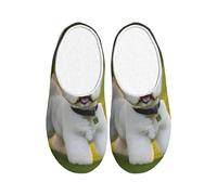 KPXXAQT Bichon Frise - Pantuflas unisex con estampado de perro sobre la hierba, para interiores, para adultos, antibolitas, lavables, para invitados y uso diario