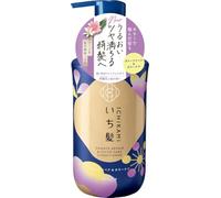 Kracie Ichikami - Acondicionador de reparación y cuidado del color, bomba de 450 g, cuidado del cabello botánico japonés para cabello teñido y dañado, acabado suave y brillante, fabricado en Japón
