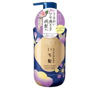 Kracie - Ichikami Damage Repair & Color Care Conditioner 450g