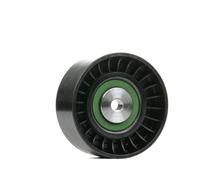 Polea tensora, Correa poly V BTA E2W6301BTA
