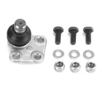 KRAFT AUTOMOTIVE Articulación De Suspensión Para Renault Kangoo Express FW0/1