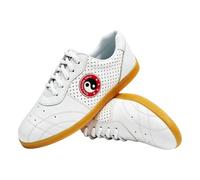 Kraftpaid Zapatos De Kung Fu Tai Chi,Zapatos De Taekwondo,Zapatos De KáRate,Resistente Al Desgaste Y Duradero,Adecuado para Diversos Deportes De Interior como Taekwondo