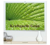 Kraftquelle Grün (hochwertiger Premium Wandkalender 2026 DIN A2 quer), Kunstdruck in Hochglanz: Grün ist die Farbe der Hoffnung, deshalb wird das ... Monat beim Ansehen Kraft und Energie schenkt.