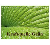 Kraftquelle Grün (Tischkalender 2026 DIN A5 quer), CALVENDO Monatskalender: Grün ist die Farbe der Hoffnung, deshalb wird das junge Frühlingsgrün auch ... Monat beim Ansehen Kraft und Energie schenkt.