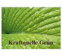 Kraftquelle Grün (Wandkalender 2026 DIN A3 quer), CALVENDO Monatskalender: Grün ist die Farbe der Hoffnung, deshalb wird das junge Frühlingsgrün auch ... Monat beim Ansehen Kraft und Energie schenkt.