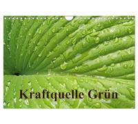 Kraftquelle Grün (Wandkalender 2026 DIN A4 quer), CALVENDO Monatskalender: Grün ist die Farbe der Hoffnung, deshalb wird das junge Frühlingsgrün auch ... Monat beim Ansehen Kraft und Energie schenkt.