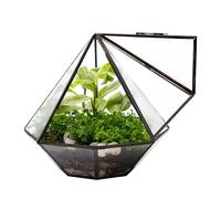 KraftStories Terrario de vidrio transparente con puerta | Contenedor de diseño de diamante | Maceta ideal para musgo y plantas de interior | Mantiene la humedad | Ecosistema de jardín interior
