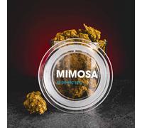 Kratom World Flores Mimosa 10-OH HHC 10% 1g