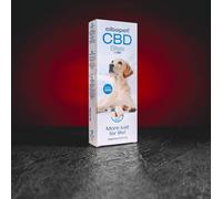 Kratom World Premios de CBD para perros