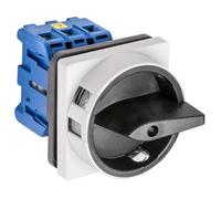 Kraus Naimer Interruptor Principal De 4 Polos 40A IP66 Montaje En Panel - 70010927