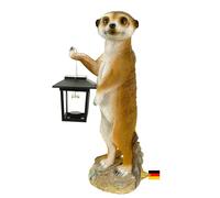 Kremers Schatzkiste Figura de suricato Eddy con farol solar para jardín, 38 cm