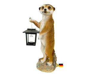 Kremers Schatzkiste Figura de suricato Eddy con farol solar para jardín, 38 cm