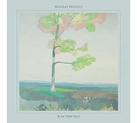 Krgovich,Nicholas - In An Open Field [Vinilo]