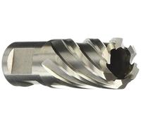 Krino 212002100 fresa a carotare (HSS alojamiento weldon, acero, 21 mm