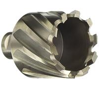 Krino 212004500 fresa a carotare (HSS alojamiento weldon, acero, 45 mm