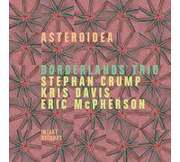 Kris Davis - Borderlands Trio: Asteroidea