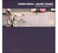 Krog, Karin - Where Flamingos Fly