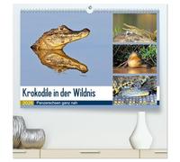 Krokodile in der Wildnis (hochwertiger Premium Wandkalender 2026 DIN A2 quer), Kunstdruck in Hochglanz: Krokodile - die Welt der Riesenechsen