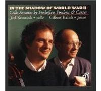 Krosnick - in The Shadow of World War 2