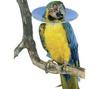 KRUUSE FUN Collar ISABELINO para Aves 8CM KRUUSE, Plástico, Multicolour