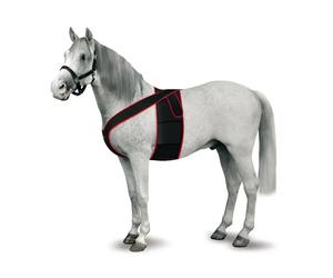 Kruuse Soporte Para Electrodos L Kruuse