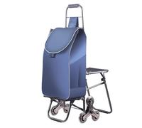 KRXSOBNV Carro de la Compra, Carro de Compras 6 Ruedas con Asiento Remolque portátil Plegable Bolsa Escalera for comestibles(C)