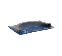 KS kolbenschmidt 79 307 600 Assembly Juego de