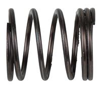 KS Tools 515.3881-R009P Muelle de amortiguación
