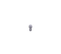 KS Tools 911.1961 Llave de vaso con punta tipo Allen 1/2", larga, 11 mm