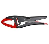 Ks Tools - Pinza de tornillo de banco (10 pulgadas, 250 mm, 115.1117)