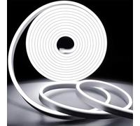 KSIBNW Tira LED de neón blanco frío, 5 m, con fuente de alimentación y controlador LED, 230 V, flexible, resistente al agua, IP65, tira de luz de neón para dormitorio, interior y exterior, decoración