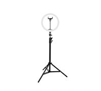 KSIX Aro de Luz Trípode 1,60M regulable. Anillo de Luz Led para Móvil, 3 Temperaturas de Luz y 10 Intensidades de Brillo. Ring Light para Tik Tok, Fotografía, Selfie