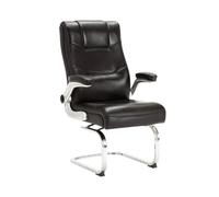 ksjdieunf Sillas de Oficina para el hogar Silla de Ordenador con Lazo, Asiento Giratorio, protección Lumbar, cómoda Silla Oficina sedentaria, Estudio en casa Salón y Ocio(B)