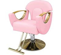 KSWBD Silla de salón Silla hidráulica Negocio o hogar, Silla de Peinado de Belleza Tienda de Belleza Silla de salón Silla de peluquería de Estilo hidráulico Cabello clásico clásico, 420 Libras (Rosa)
