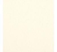 Kt KILOtela - Tela Loneta Tintada, Decoración, Tapizar, Cojines, Cortinas, Colchas, Bolsos, Manteles, 100 cm Largo x 280 cm Ancho, Color Blanco Roto, Beige, Natural 000, 1 Metro