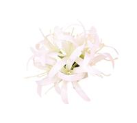 KUAIYIJU Bianan - Horquilla para el pelo con diseño de flores para mujeres y niñas, para fiestas y uso diario