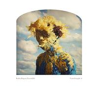 Kuba Kapsa Ensemble - Vantdraught 4 [VINYL] [Vinilo]