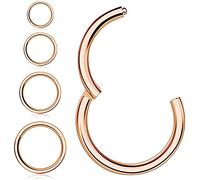 Kucheed 4 Piezas Anillos de Nariz Pendientes de Aro, 316L Acero Quirúrgico Bisagra Segmento Clicker Segmento Anillo de Tabique Helix Cartílago Nariz Anillos de Labio,18G-16G Pendientes