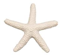 Kueohse 15 Piezas Lápices Blancos Lápices Dedos Estrella De Mar Para La Decoración Del Hogar Y Proyecto