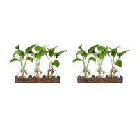 Kueohse 2X Estaciones de Propagación de Plantas Estación de Jarrón de Vidrio Terrario de Plantas Retro con Bandeja de Madera Florero de Bulbo Decoración de Oficina en el Hogar