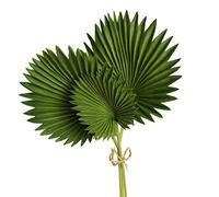 Kueohse 3 Piezas Hojas de Palma Artificiales Manojo de Plantas Falsas de PláStico Verde Hojas de SimulacióN Arreglo de Flores DecoracióN del Hogar